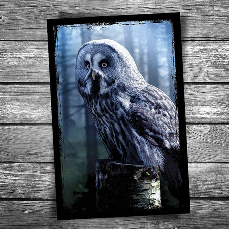 Wood Owl Postcard