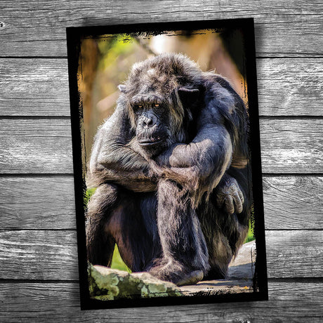 Grumpy Monkey Postcard