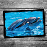 Dolphins Postcard