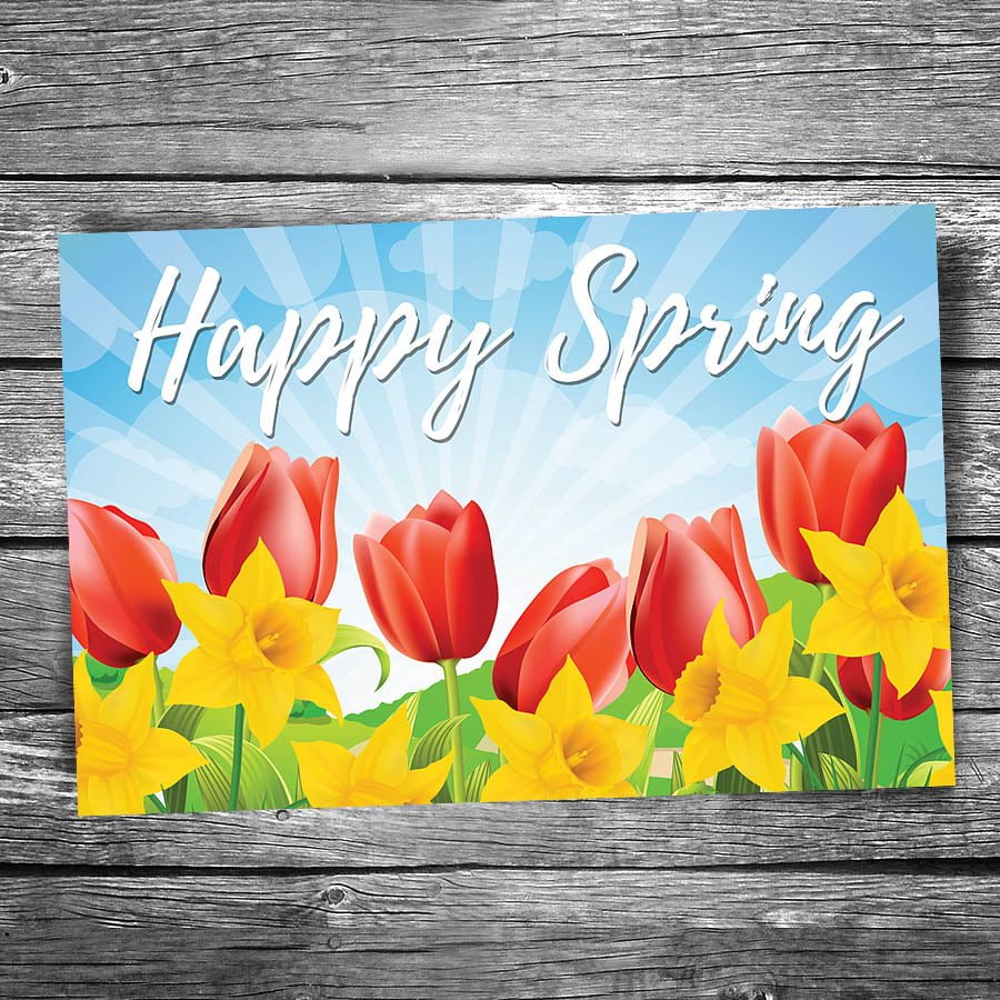 グリーティングカード♡ happy spring Happy Spring Postcard – Christopher Arndt Postcard Co