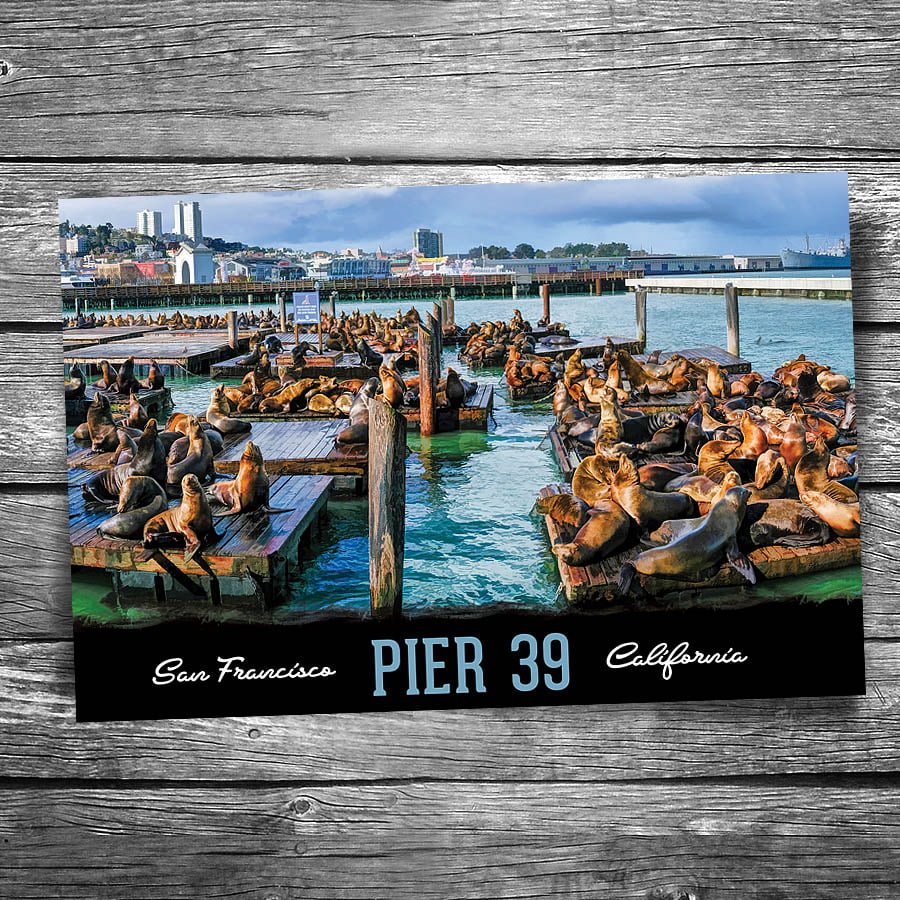 San Francisco Pier 39 Postcard