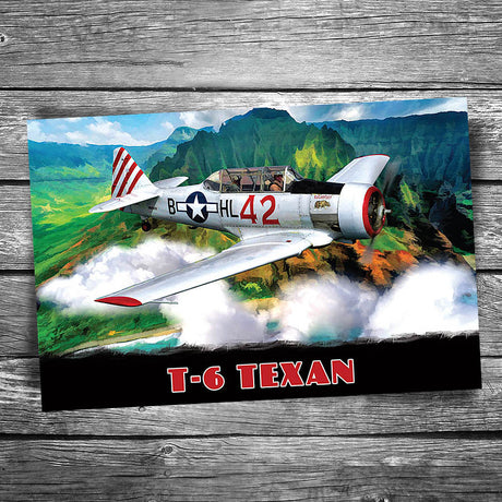 T-6 Texan Airplane