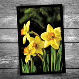 Daffodils Postcard