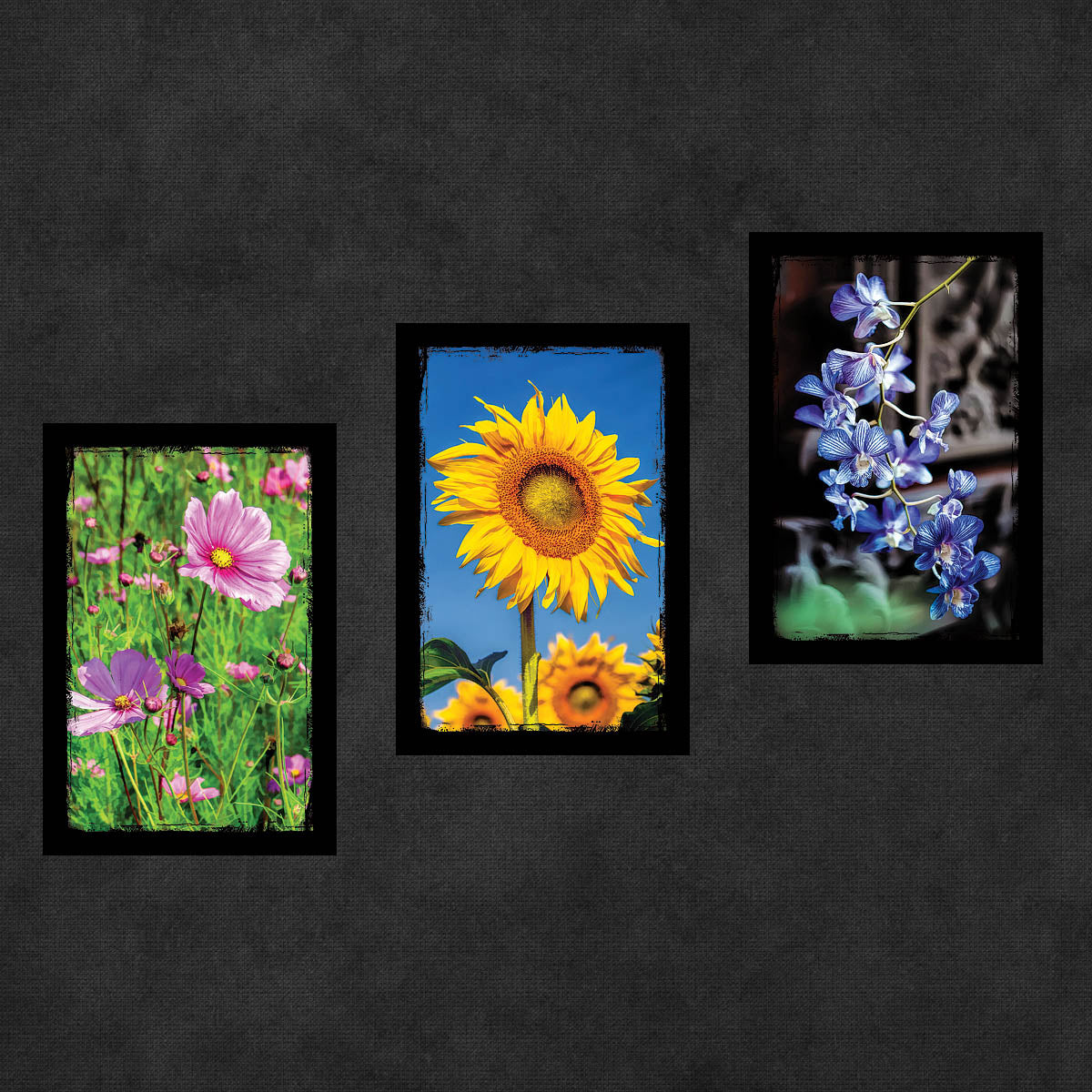 Flower Postcards | Set of 25