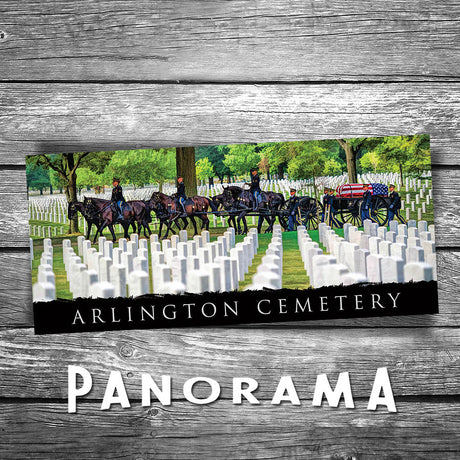 Arlington Cemetery Panorama Postcard