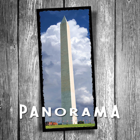 Washington Monument Panorama Postcard