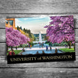 University of Washington Postcard