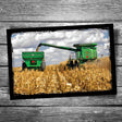 Harvest Postcard