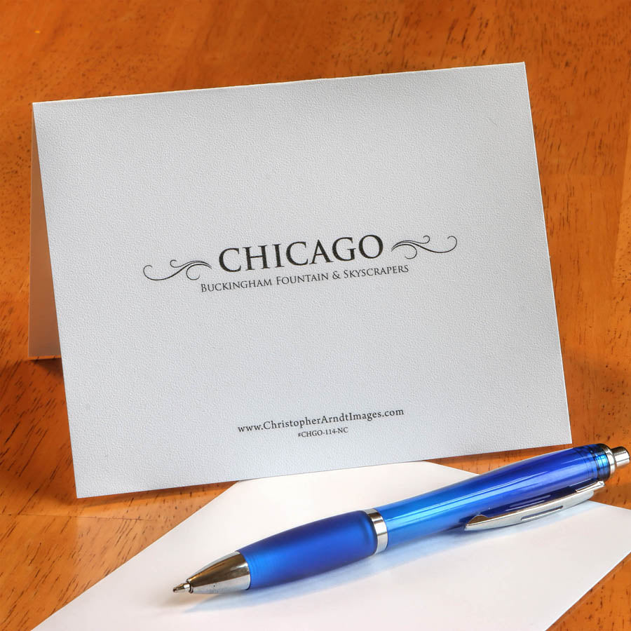Chicago Cloud Gate Notecard