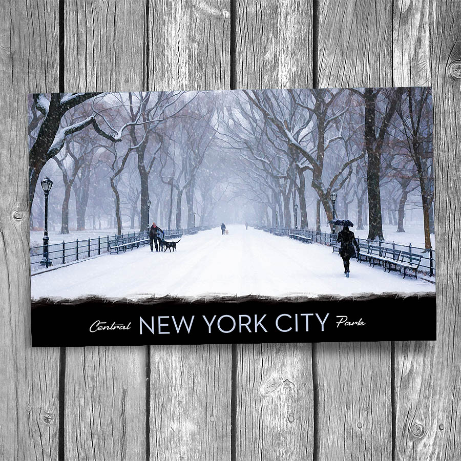 Central Park Mall in Snow New York City Postcard