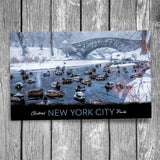 Central Park Ducks New York City Postcard